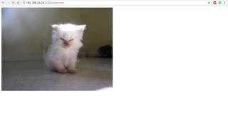 Proxy Server using Redis