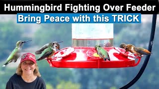 STOP Hummingbirds Fighting at Feeders SEE SECRET Hummingbird Feeder to Solve EASY Fix Over Nectar
