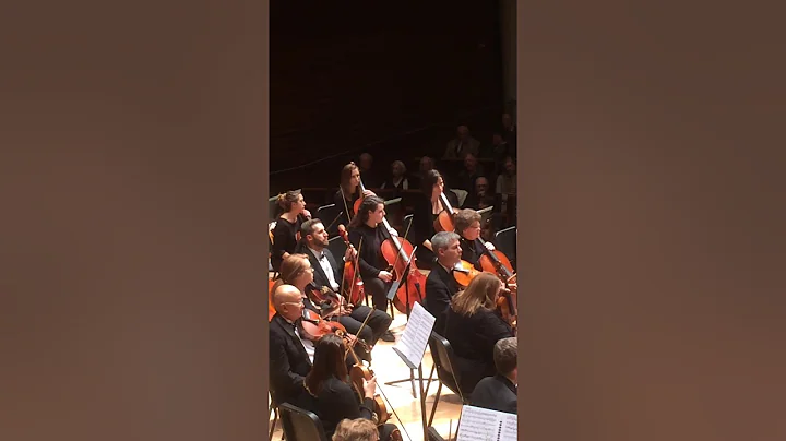DuPage Symphony Orchestra (professional) featuring...