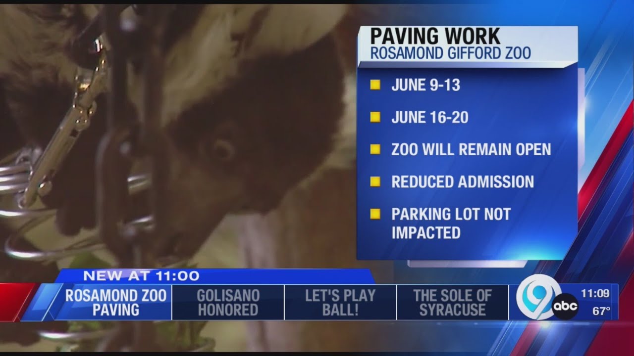 Rosamond Gifford Zoo offers discounts due to construction