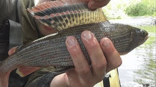 Летняя рыбалка 2018.Подя сегодня щедрый!Новые места!Уха из хариуса!Снасти для ленка и хариуса! Летняя рыбалка 2018.Подя сегодня щедрый!Новые места!Уха из хариуса!Снасти для ленка и хариуса!