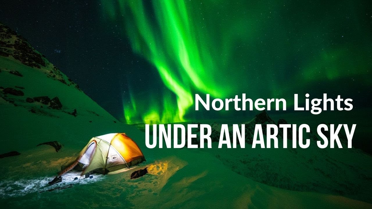 One Week in Norway | Lofoten & Senja | Northern Lights | Drone & Timelapse 4K