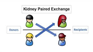 Living Donation: Compatibility-Related Issues Part 2