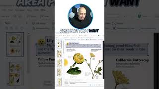 Fix Complex Scans with ABBYY FineReader OCR Editor | Zoning Tips Made Easy