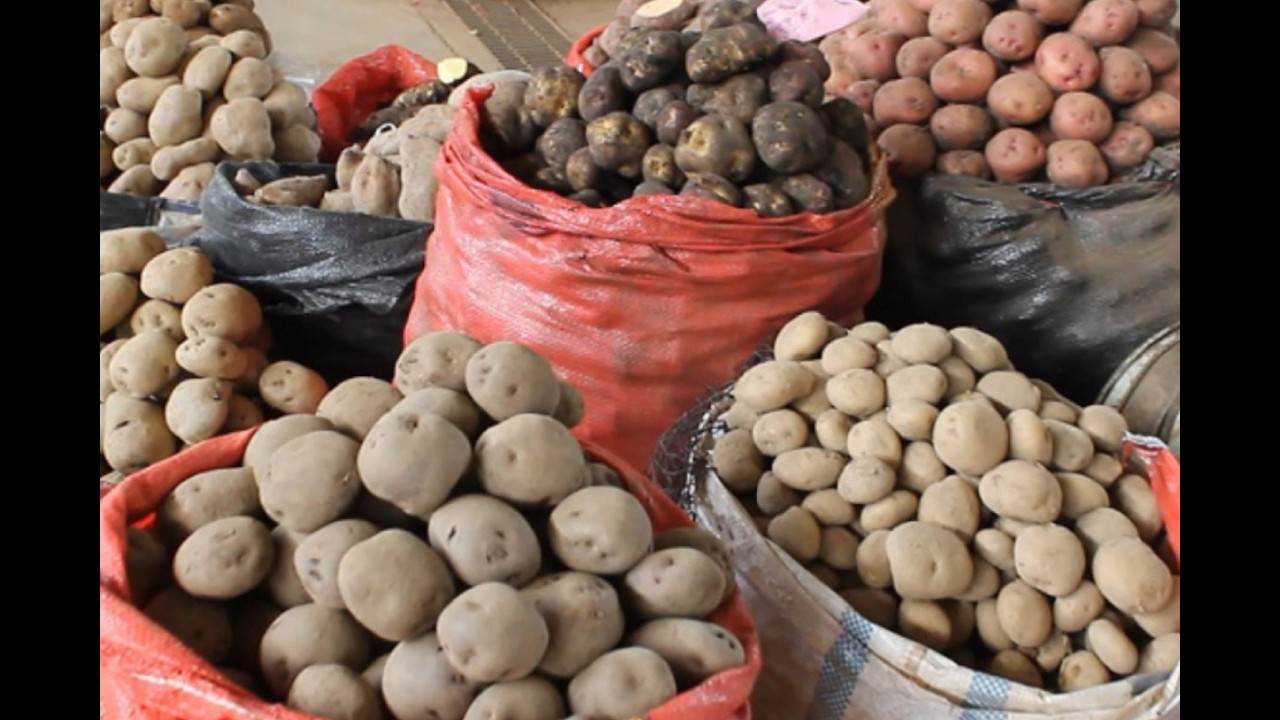 Lluvias no paran al interior del país: ¿Habrá impacto en los precios de las frutas y verduras?