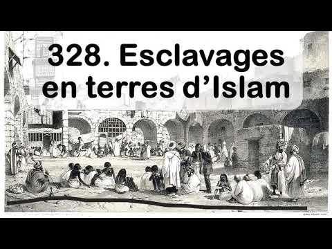 328. esclavages en terres d'Islam