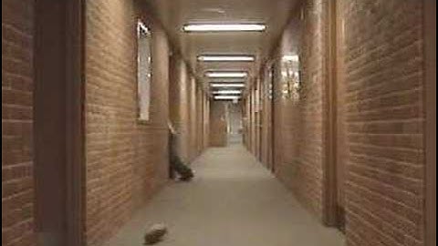 Scooby Doo Style Chase Scene