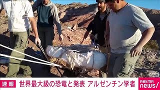 “新種の草食恐竜”世界最大級と判明　アルゼンチンで発見の化石から(2023年5月19日)