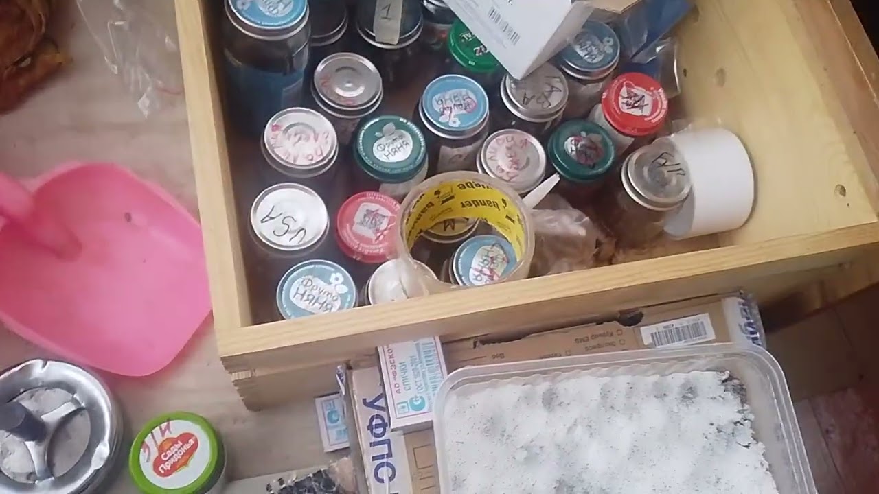 Сеем на снег