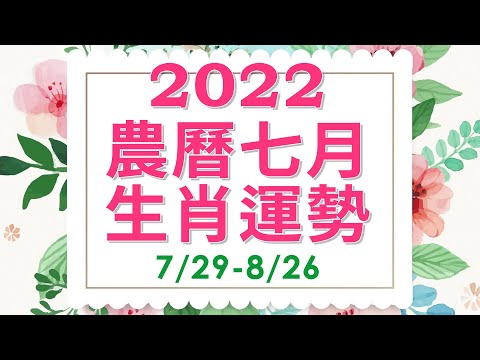 命理-雨揚樂活家族-EP 0028-2022壬寅水虎年農曆七月（7/29-8/26）｜生肖運勢月報