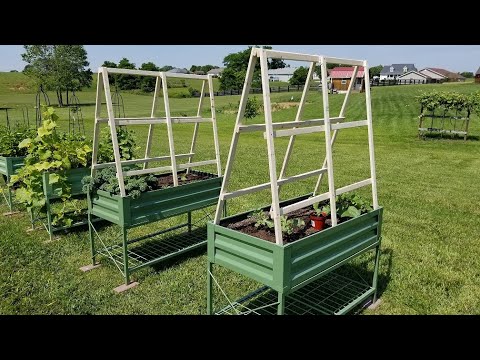 Building a Simple and Inexpensive A-Frame Trellis
