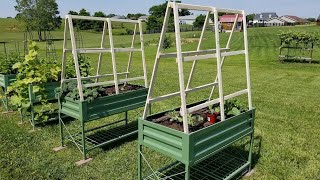 Building a Simple and Inexpensive A-Frame Trellis