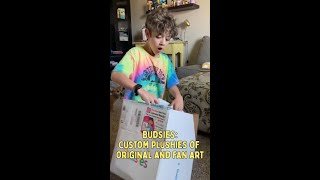 Whats The Difference Between A Budsies And Selfies Plushie? Budsies