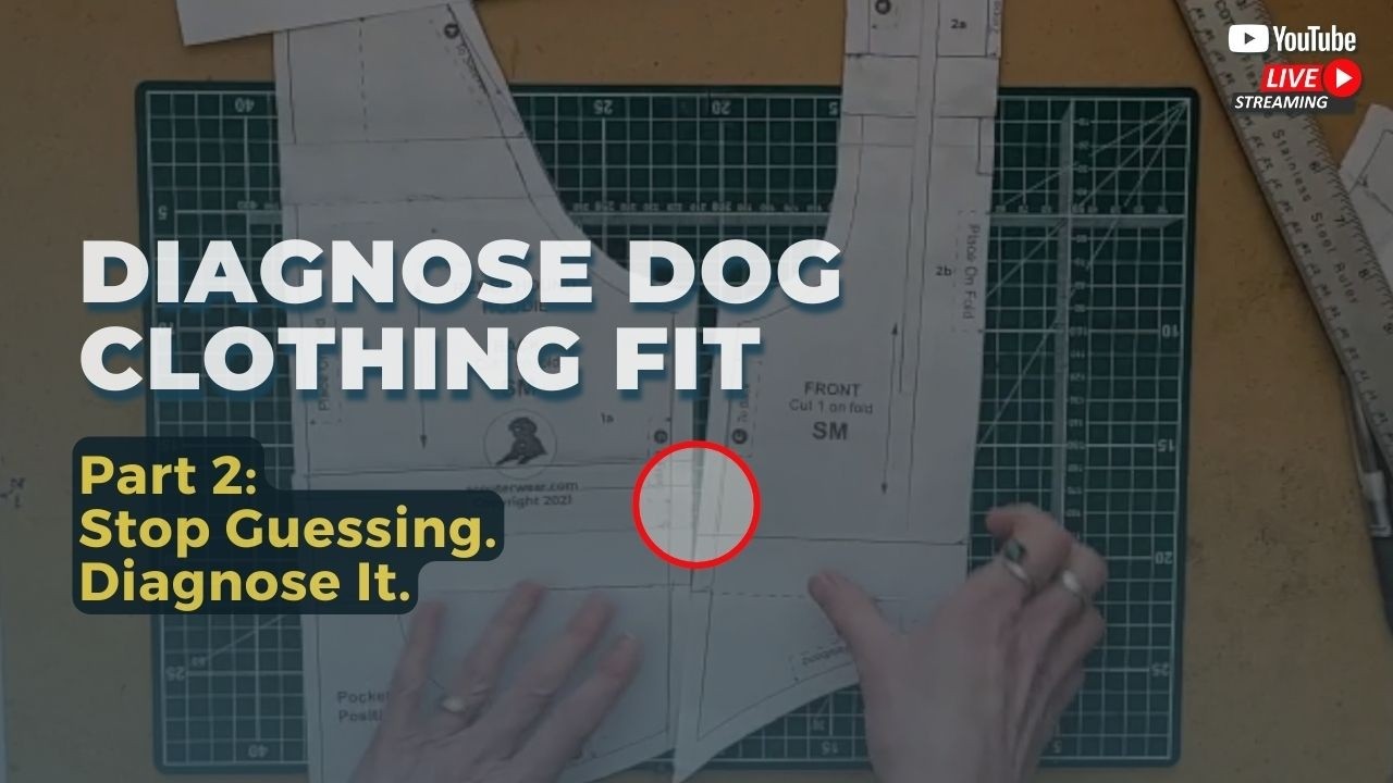 How to Diagnose Dog Coat Fit Issues (Before You Adjust the Pattern)