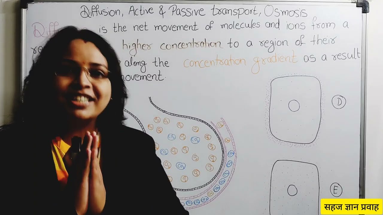 Diffusion Explanation in Hindi | Diffusion Active and Passive transport Osmosis | सहज ज्ञान प्रवाह