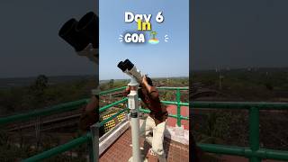 Day 6 in GOA🔥 #goa #minivlog #thepk #shorts #explore