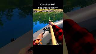 озеро куори #rr4 #озеро #игры #