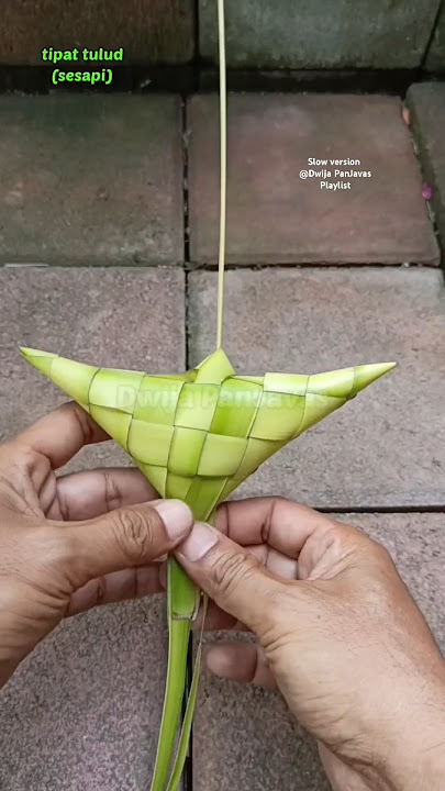 tutorial tipat tulud/sesapi