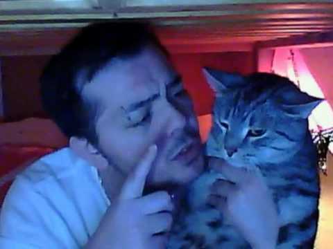 Gronder Son Chat Youtube