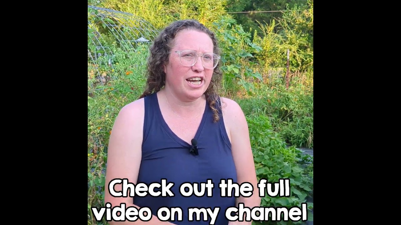 Incredible 60 lb Garden Harvest After Only 6 Days! 