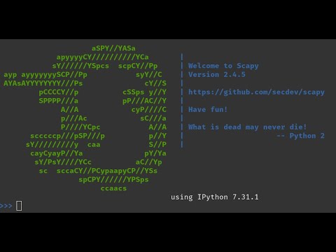 Scapy with scripting