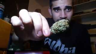 Joining the Weedtuber Community!!!! Stony Mondaze Smoke Sesh