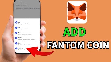How to Add Fantom in MetaMask 2025?