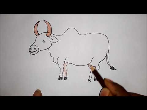 மாடு (காளை) வரைதல்/வரைவது எப்படி?,how to draw a simple bull(indian)?