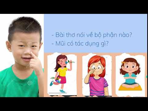 Video Bài thơ Tâm sự của cái mũi - youtube