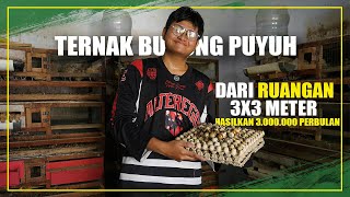 WITH A LITTLE NUMBER OF VACANCIES, THIS YOUNG MAN MAKES MILLIONS FROM FARMING QUAIL