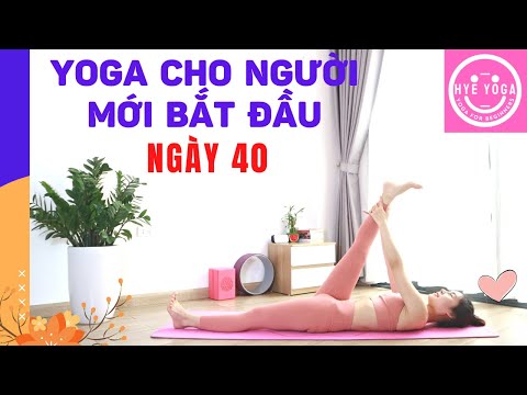 Video Yoga Cho Người Mới Bắt Đầu | Ngày 40 - YouTube