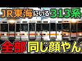 【見分けられる?】東海の沼形式が複雑すぎました・・・【JR東海313系 後編】