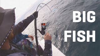 There's BIG Fish at Steep Point! | Shark Bay Fishing 2