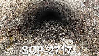 Scp-2717 Fatberg Breifing Log 2717.3