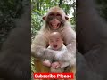 Baby Funny Laugh #babylaughing #babylaugh #babylaughingvideos #babycrying #babycry #laughbaby #babie