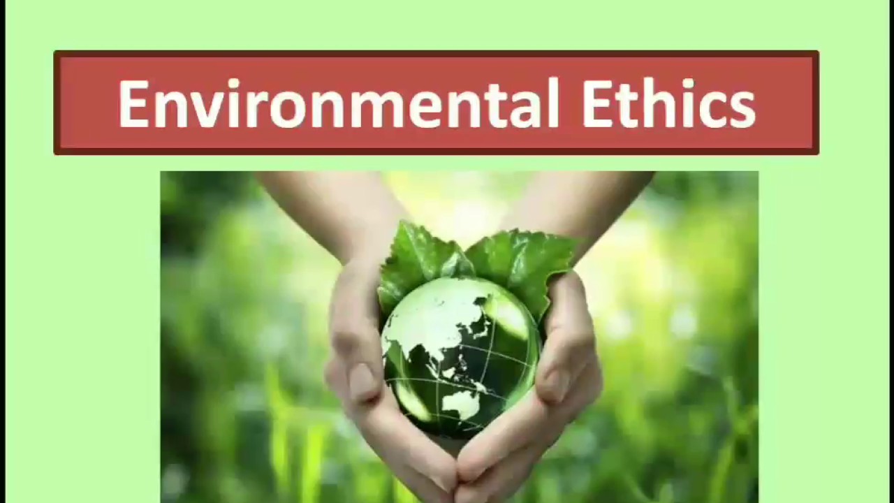 assignment on environmental ethics