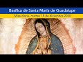 Misa en vivo Basílica de Guadalupe, México. Martes 15/diciembre/2020 9:00 hrs.