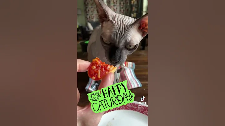 Watch the video about Happy Caturday from Boris the Spooky Sphynx