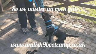 Patterjack, Sam, With Gate Issues.....