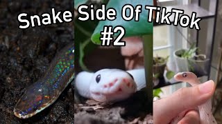 Snake Side Of TikTok #2