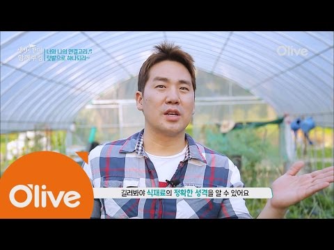 LetsCook 셰프계의 텃밭왕! 샘킴 셰프에게 텃발이란? 160824 EP.4