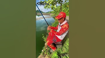 Cách cân phao mồi vê và đo đáy   | Chia sẻ kinh nghiệm | #short