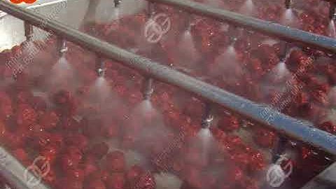 brush roller palm date cleaning machine youtube video