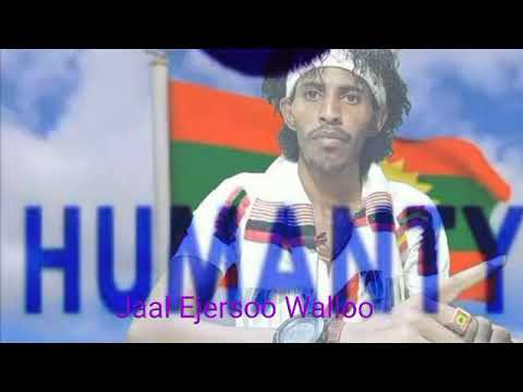 Walaloo Jaal Ejersoo Walloo Dallaaltoota Harka Xurii