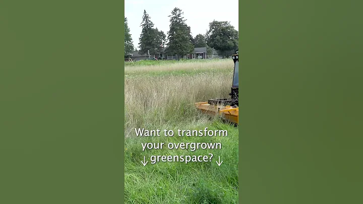 Your Ultimate Terrain Conqueror