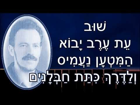 וִידֵאוֹ: מכונת צלפים של טולה. VSK-94