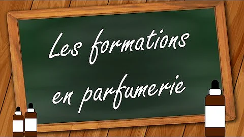 Quels sont les franchises les plus courantes en institut et parfumerie ?