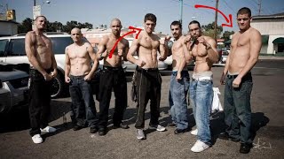 The Diaz Brothers The Biggest Gangsters In Combat Sports