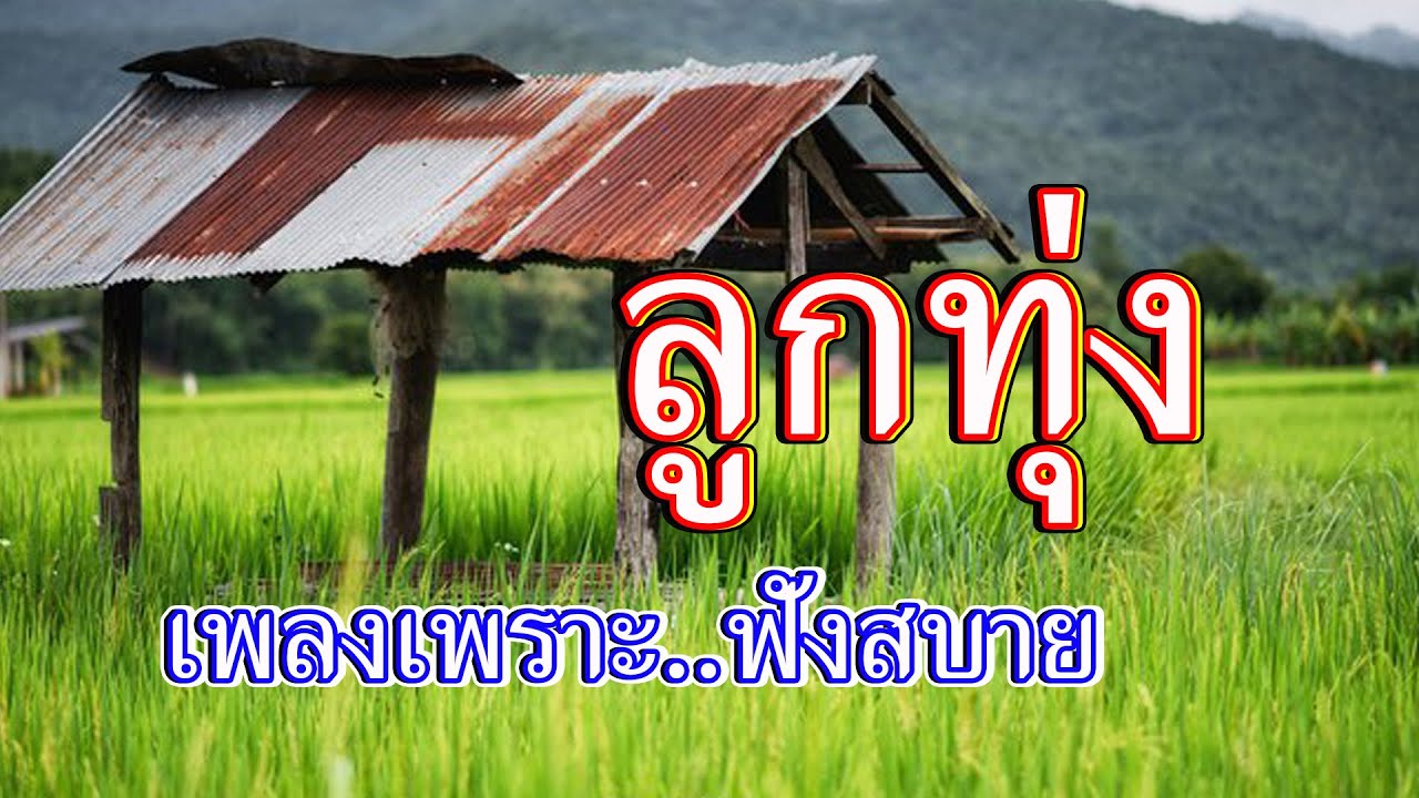 ลูกทุ่งเพลงเพราะฟังสบาย