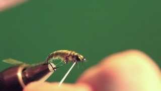 Tying the "Rhyacophila Larvae Nymph"